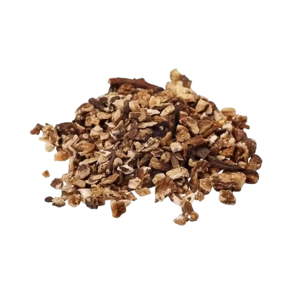 Pissenlit, Taraxaco, Dente de Leao, (Tarasacum officinale), racine