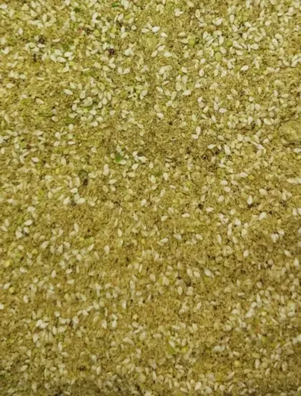 Mélange Dukkah Égytien