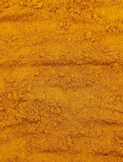Mélange Fish Curry Masala
