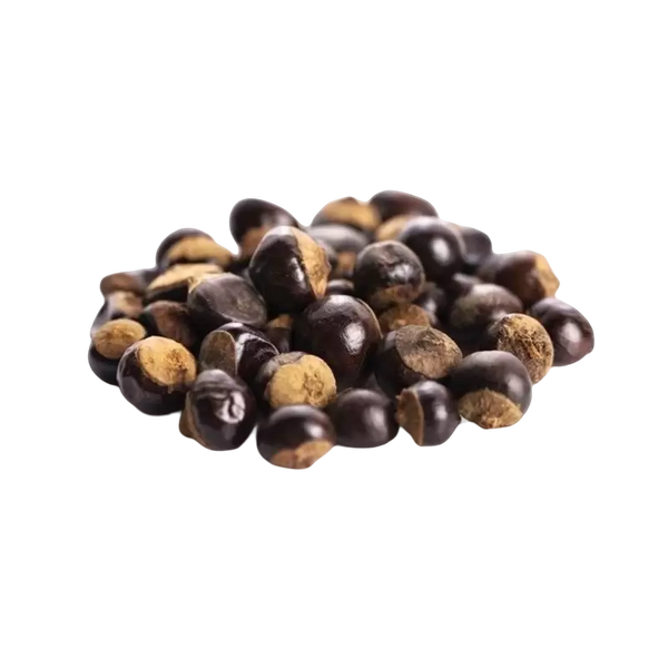 Guarana baies (Paullinia cupana)