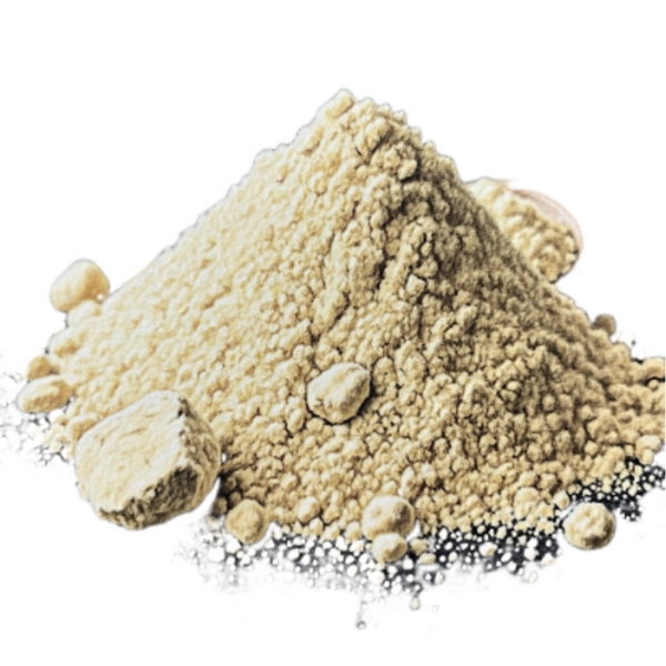 Gingembre Poudre (Zingiber officinale Roscoe) Gengibre Pó