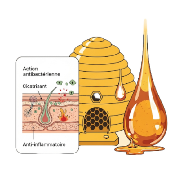 Propolis Résine