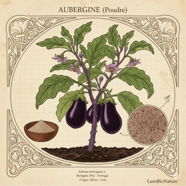 Aubergine Poudre - (Solanum melongena) - Beringela Pó