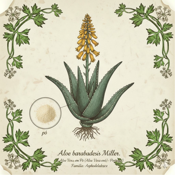 Aloe Vera en Poudre (Aloe Barbadensis) Aloe Vera em Pó