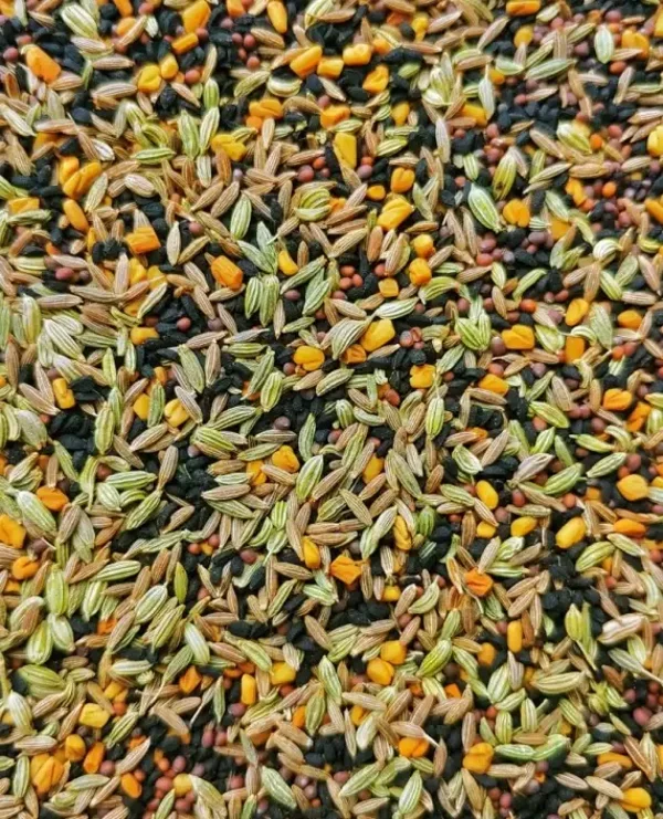 Mélange Panch Phoron