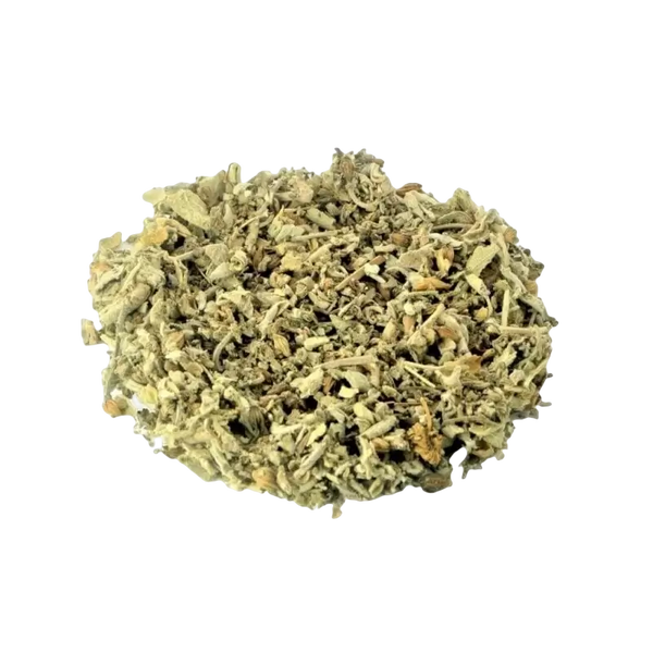Sauge, Salva, (Salvia Officinalis), parties aériennes
