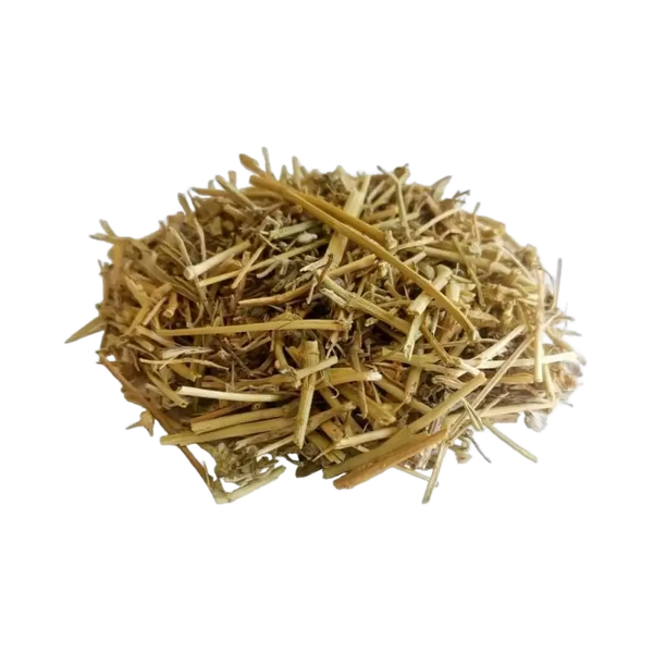 Tribulus terrestris, plante