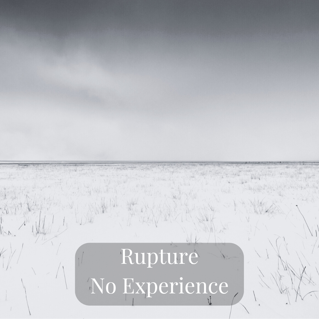 Rupture – No Experience | Le silence avant la renaissance de la conscience – Luc Brugger