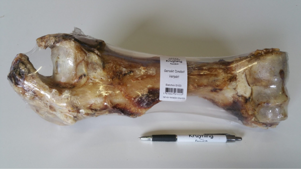 Kruyning dinobot XXL