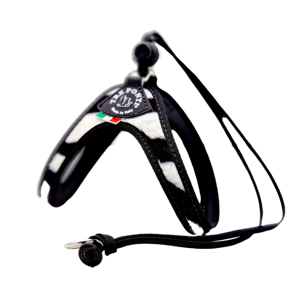 Treponti tuig liberta zebra