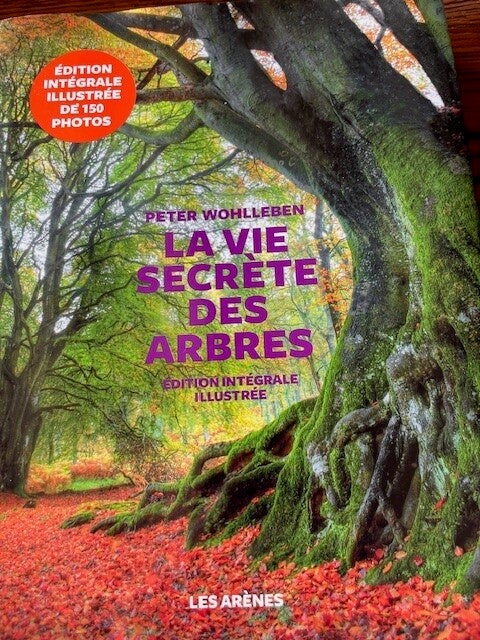 "La vie secrète des arbres" Peter Wohlleben/Nature/Photographies