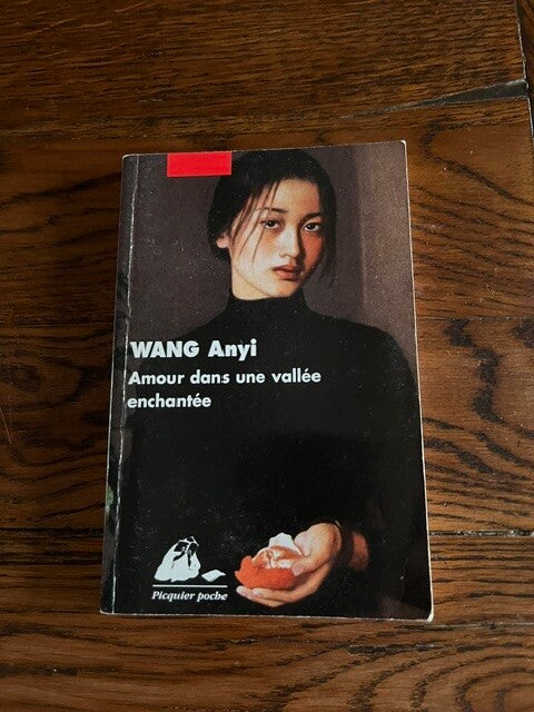 "Amour dans une vallée enchantée" Anyi Wang/Romans-Livres sur l'Asie-Livres auteurs étrangers