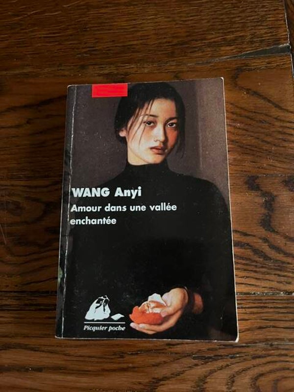 "Amour dans une vallée enchantée" Anyi Wang/Romans-Livres sur l'Asie-Livres auteurs étrangers