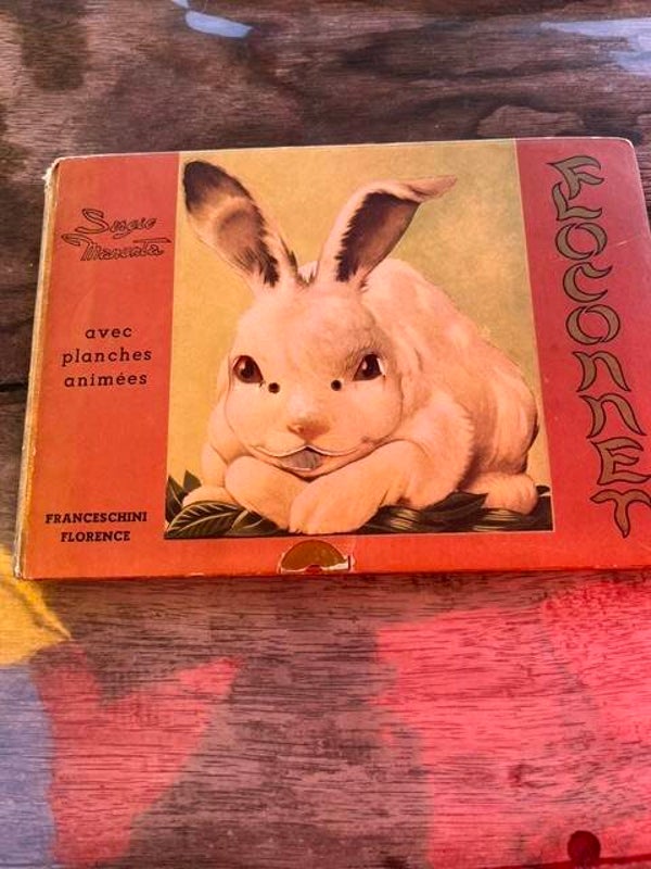 "Floconnet" Album avec planches animées de Sergio Manunta/Livres rares-Collections