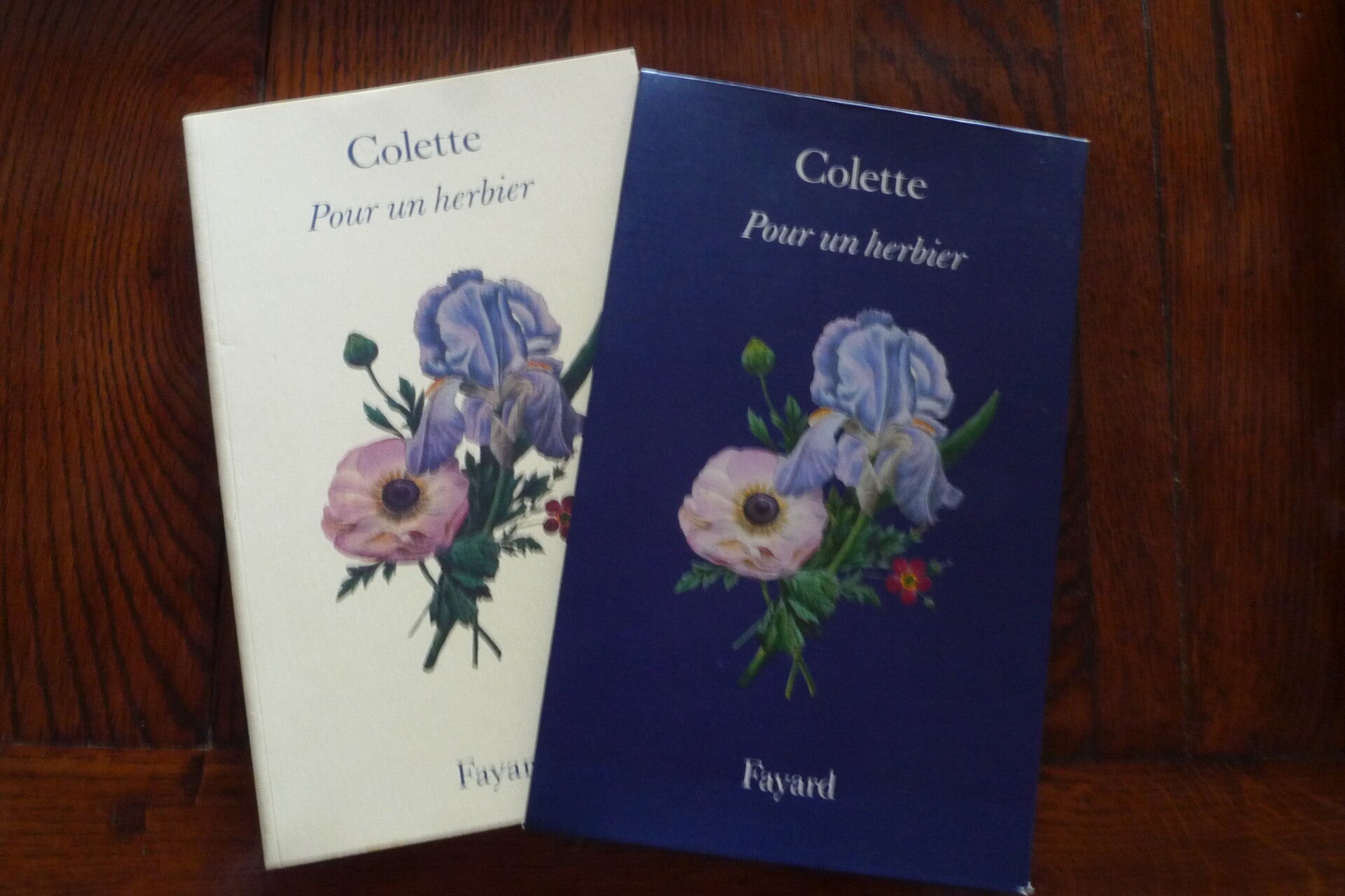 "Pour un herbier" Colette/Nature/Art