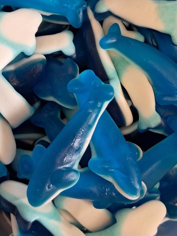 Dauphin / Requin 100gr