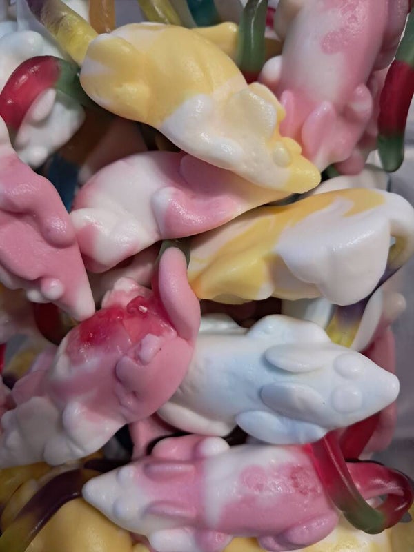 Grosse souris 100gr