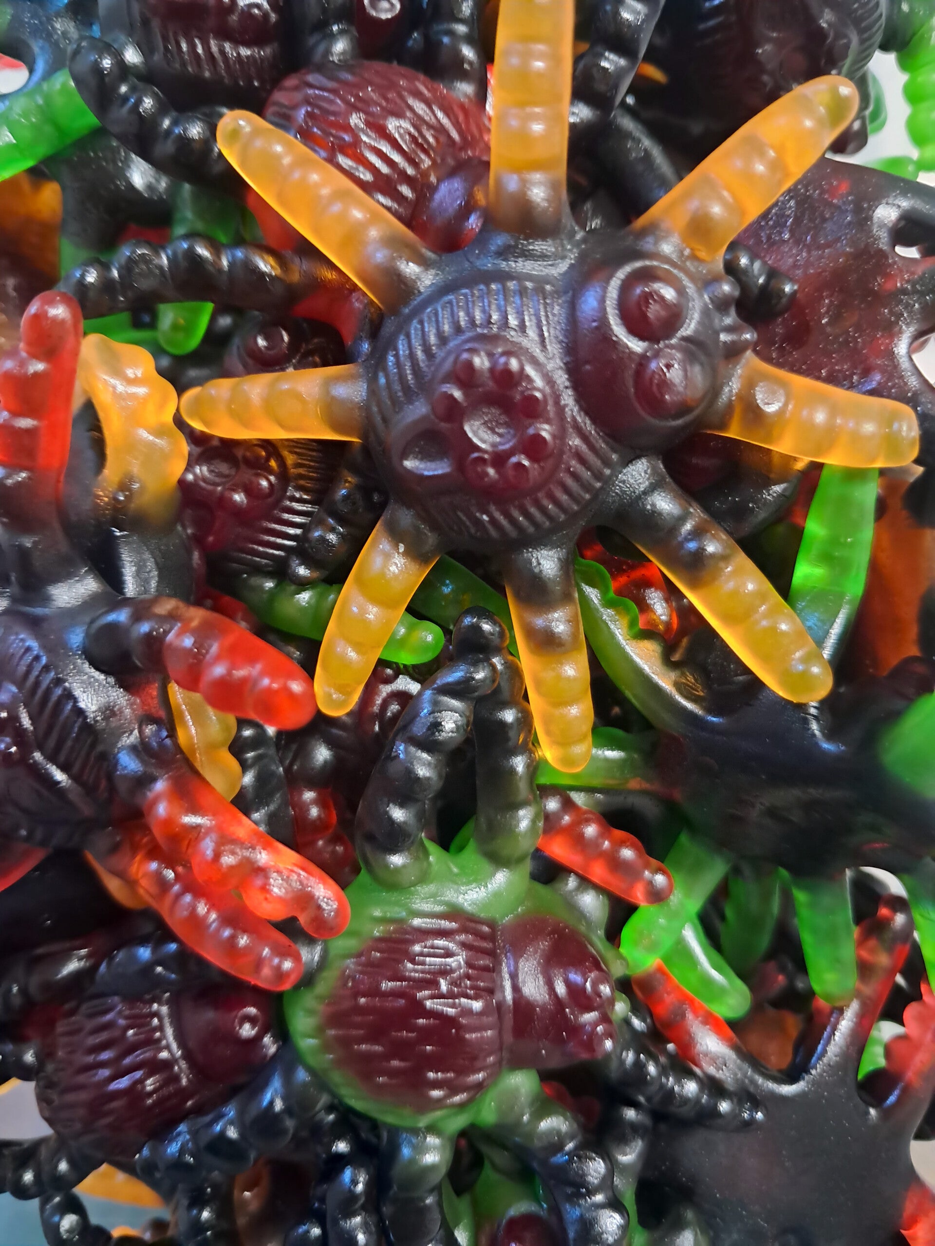Tarentule 100gr