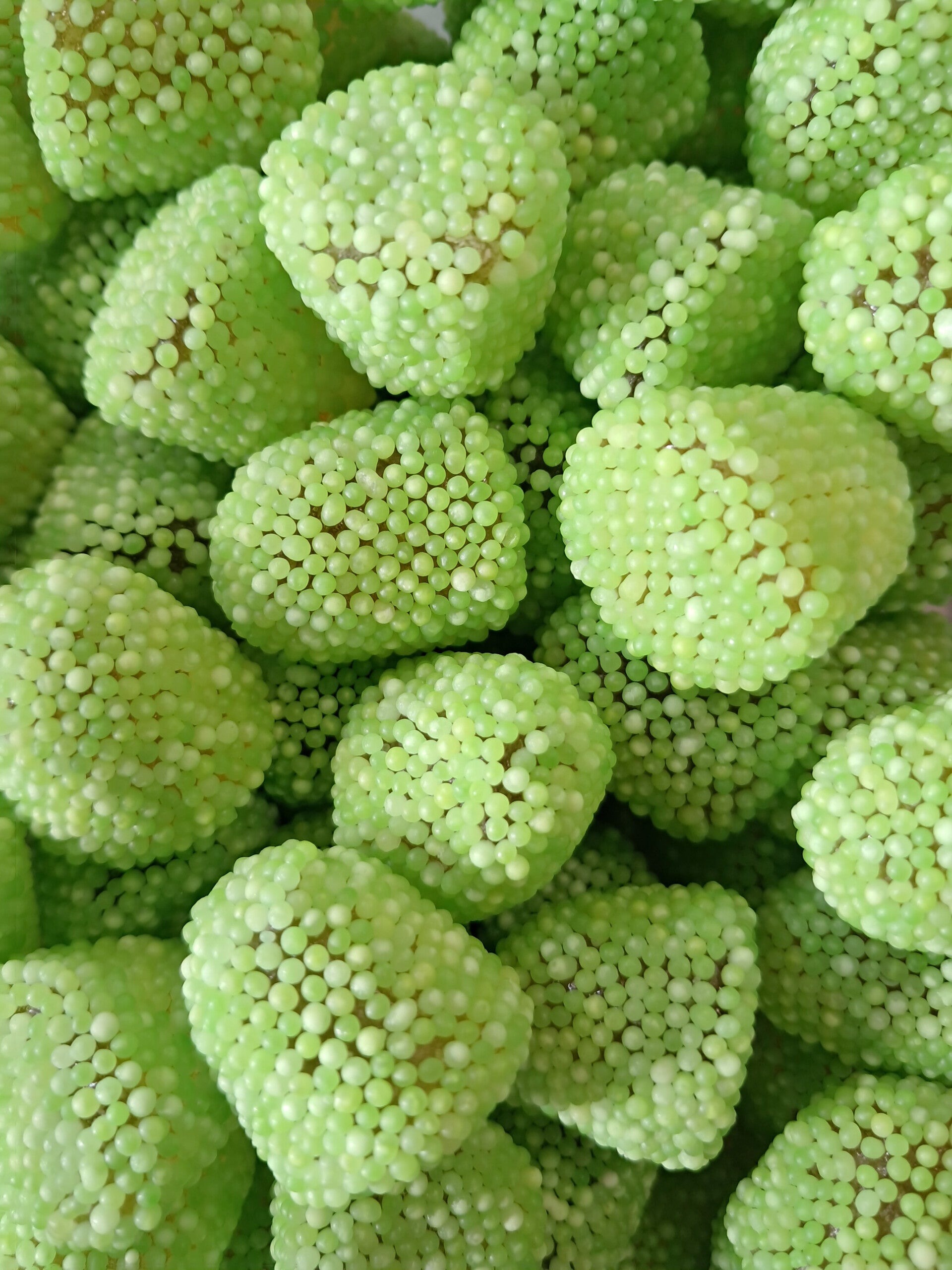 Berries melon 100gr