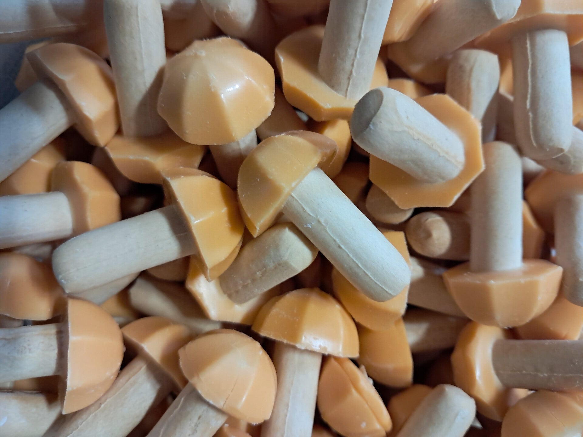 Champignons passion 100gr