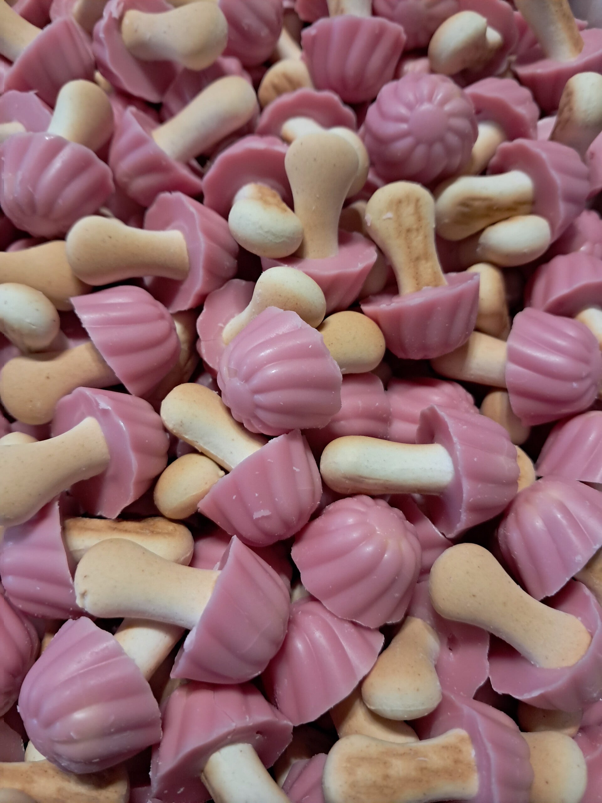 Champignons fraise 100gr