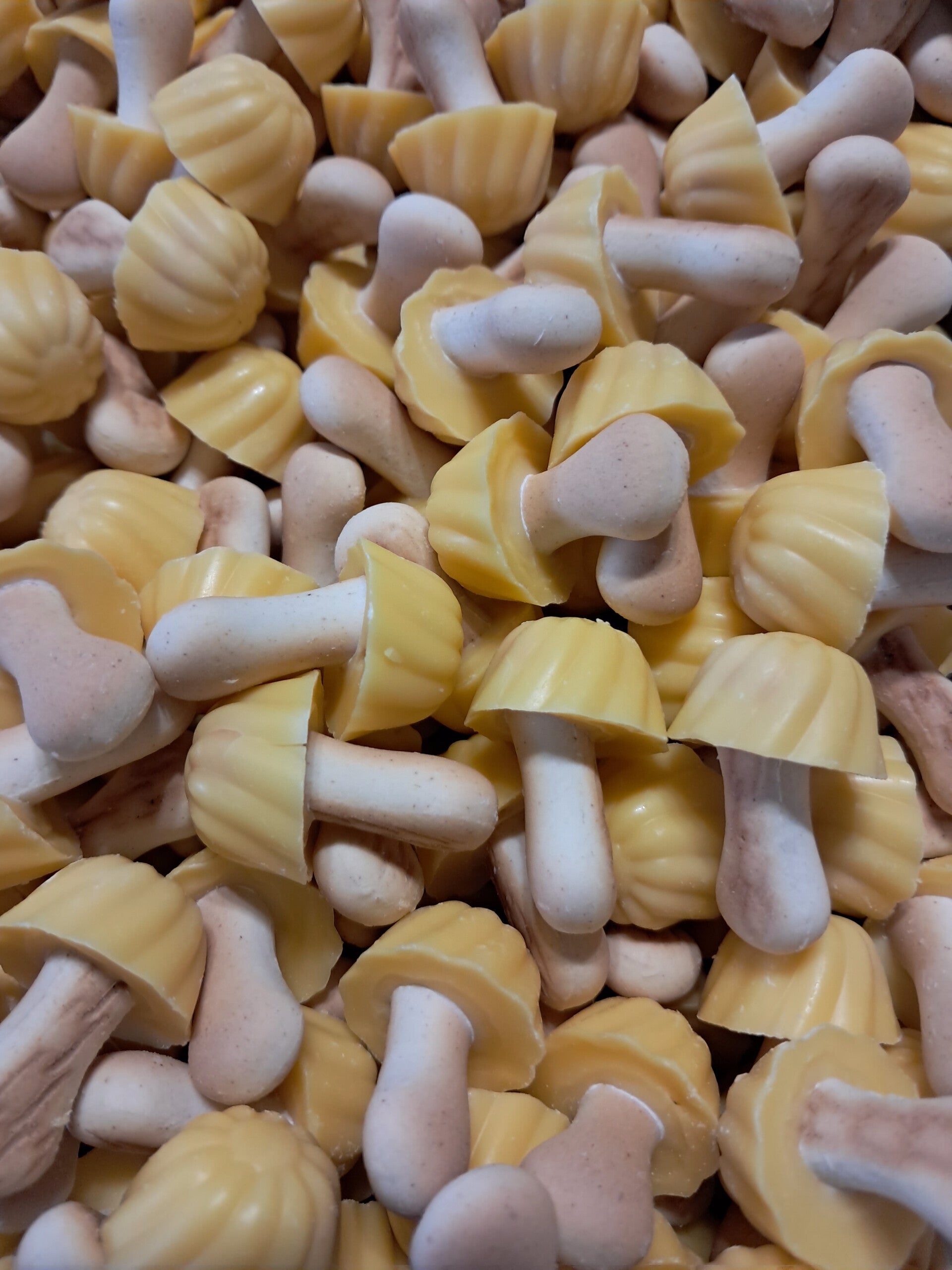 Champignons banane 100gr