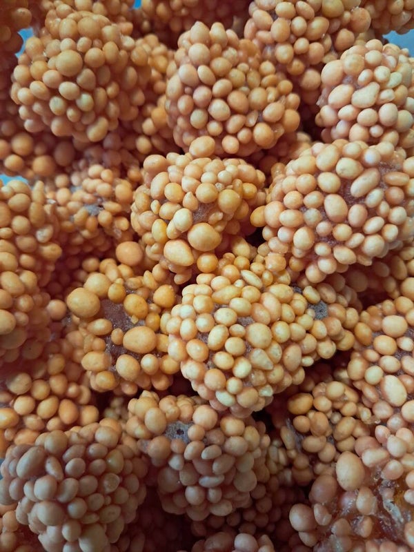 Astéroïde piquant 100gr