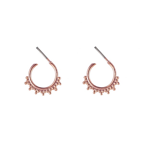 Trendy points oorbellen rose goud