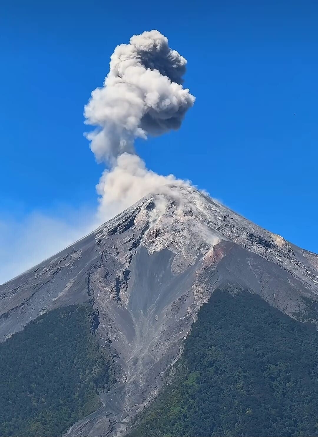 Verblijf taalreis Costa Rica