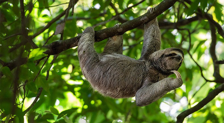 Spaans leren in een ontspannen sfeer