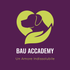 Bau Academy