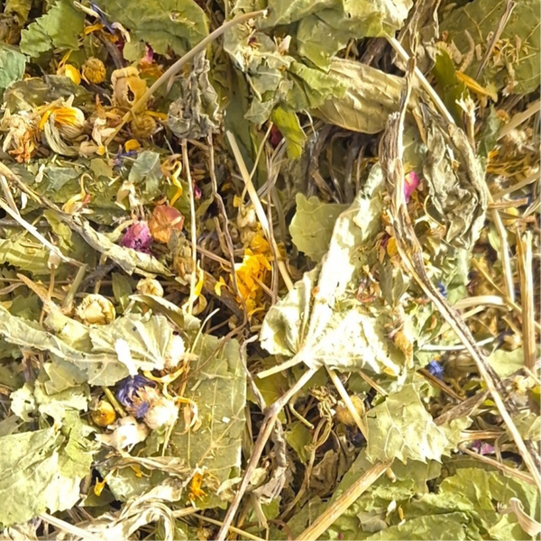 Schnupfnäschen