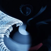 1000040393-standard.jpg