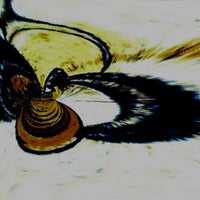 1000044159-standard.jpg