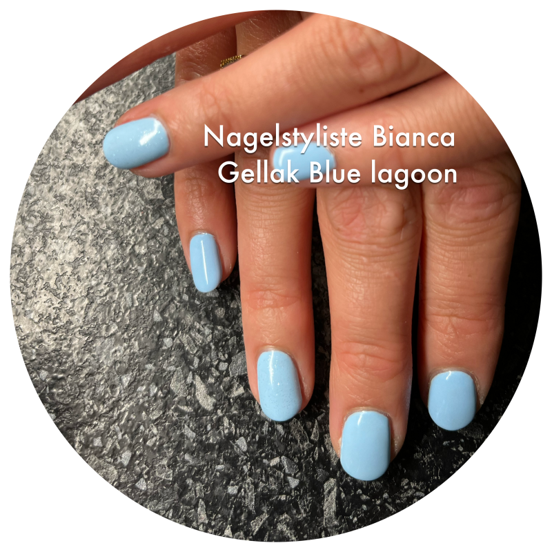 image00099-standard-229lni.png