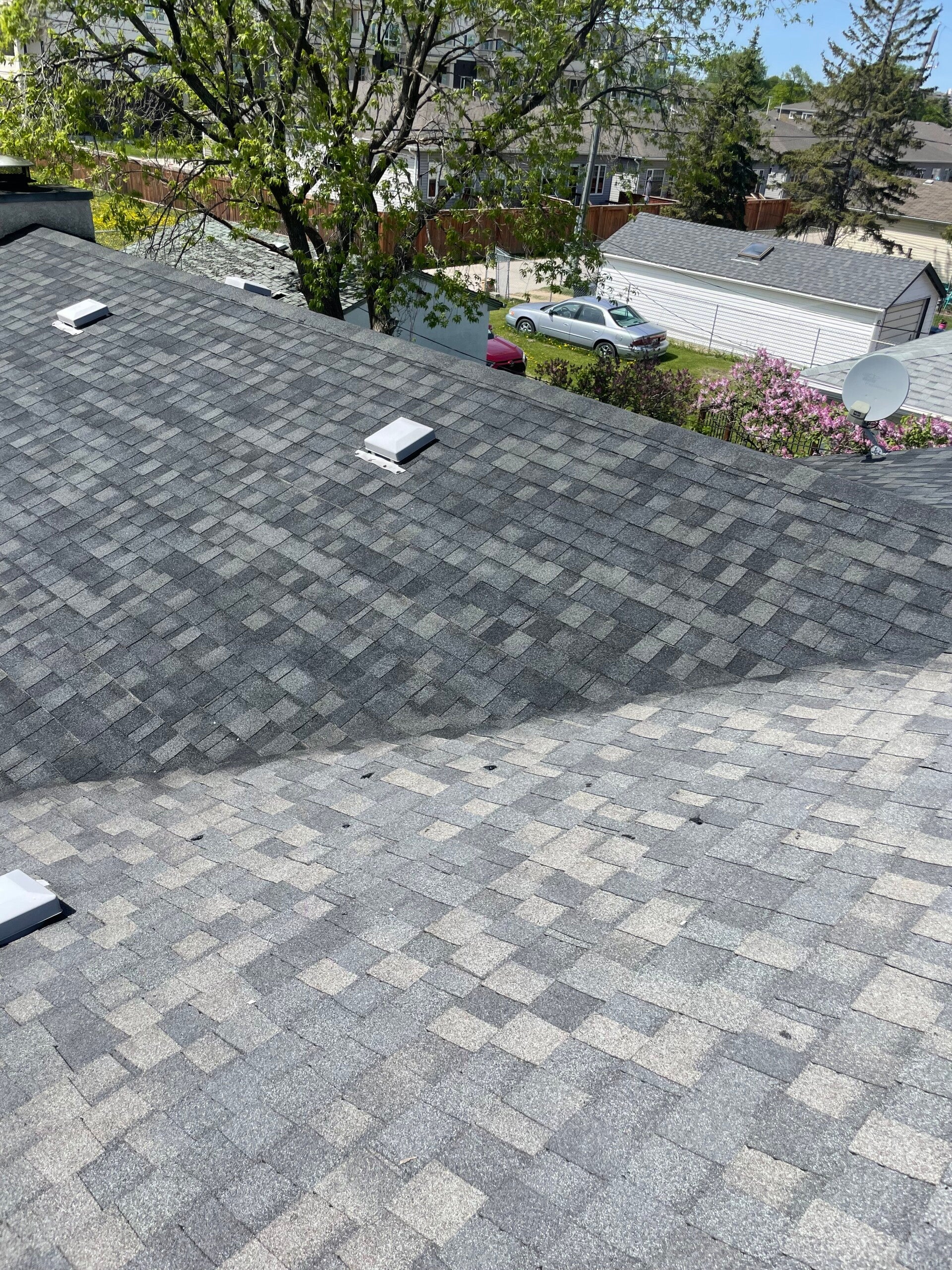Asphalt shingles during NuRoof system application showing visible contrast between untreated and treated areas in Winnipeg