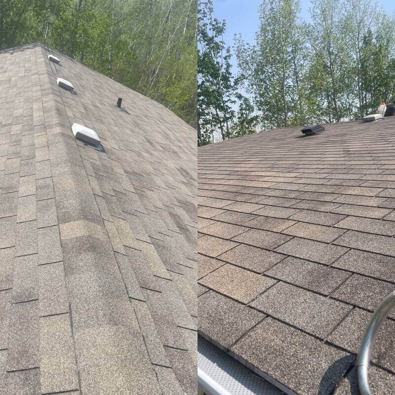 Asphalt shingles during NuRoof system application showing visible contrast between untreated and treated areas in Winnipeg