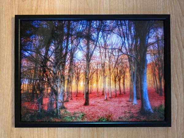 A3 Framed Photos (no mount)