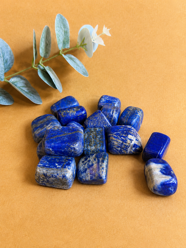 Trommelsteen Lapis Lazuli