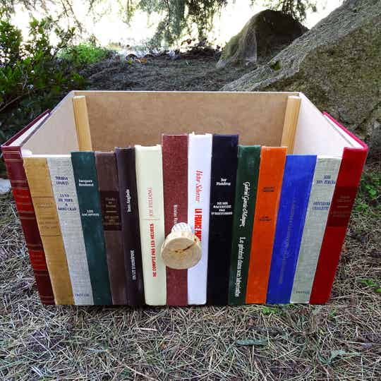 Caisse de rangement en faux-vrais livres