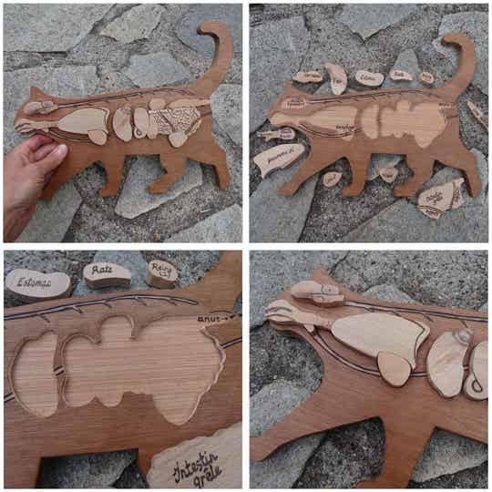 Puzzles science et nature