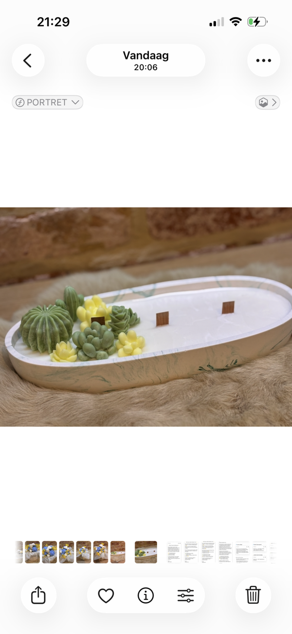 Cactus Garden