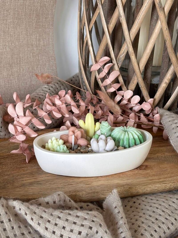 Desert Bloom