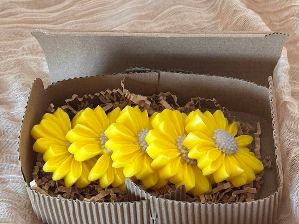 Waxmelts Tournesol
