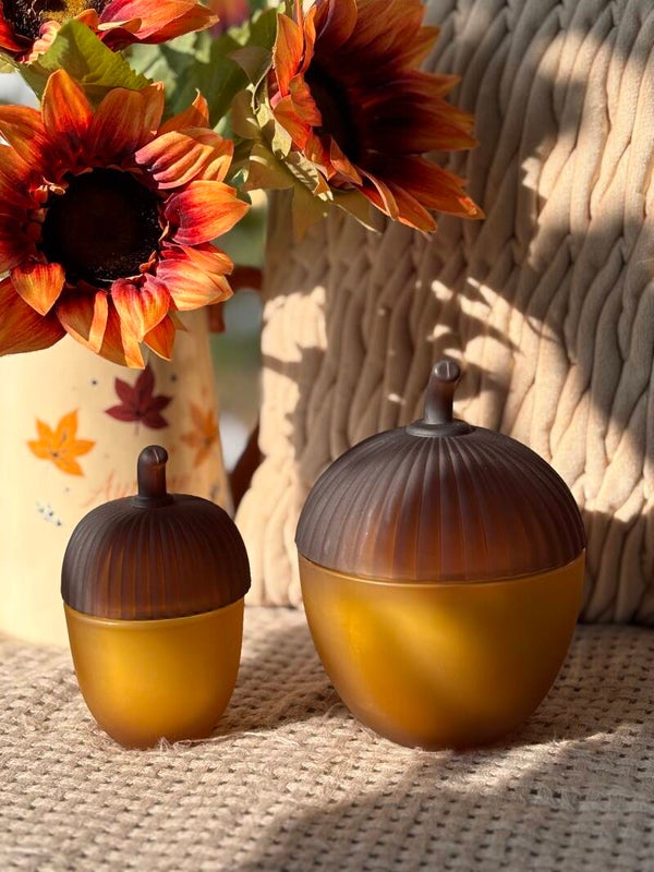 Amber Acorn