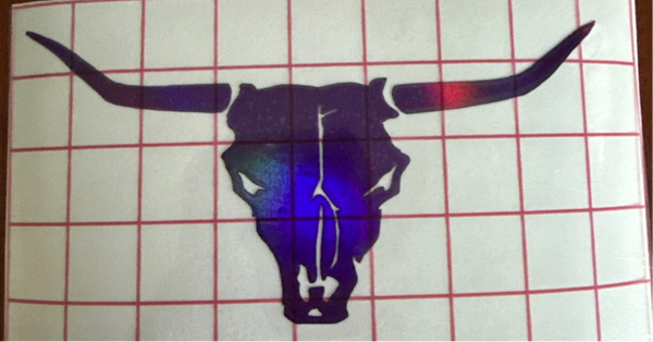 LongHorn Skull