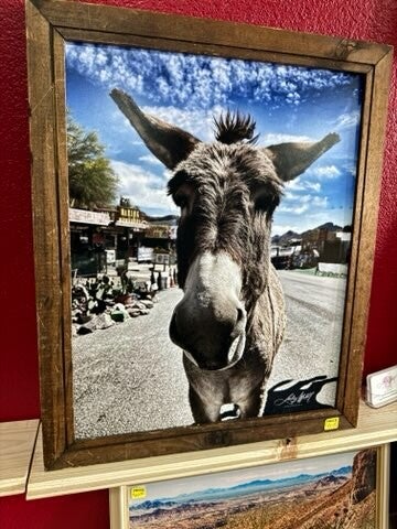 Oatman Donkey 16x20 foamcore mounted print
