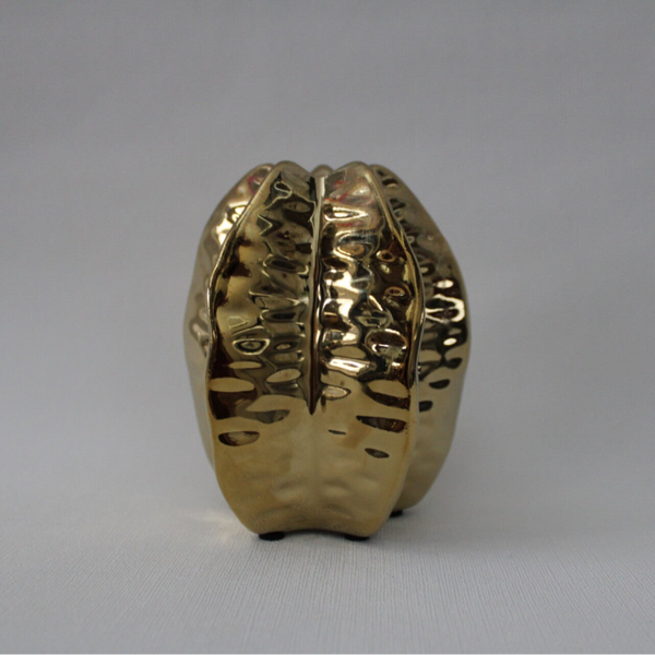 Vaasje cactus goud