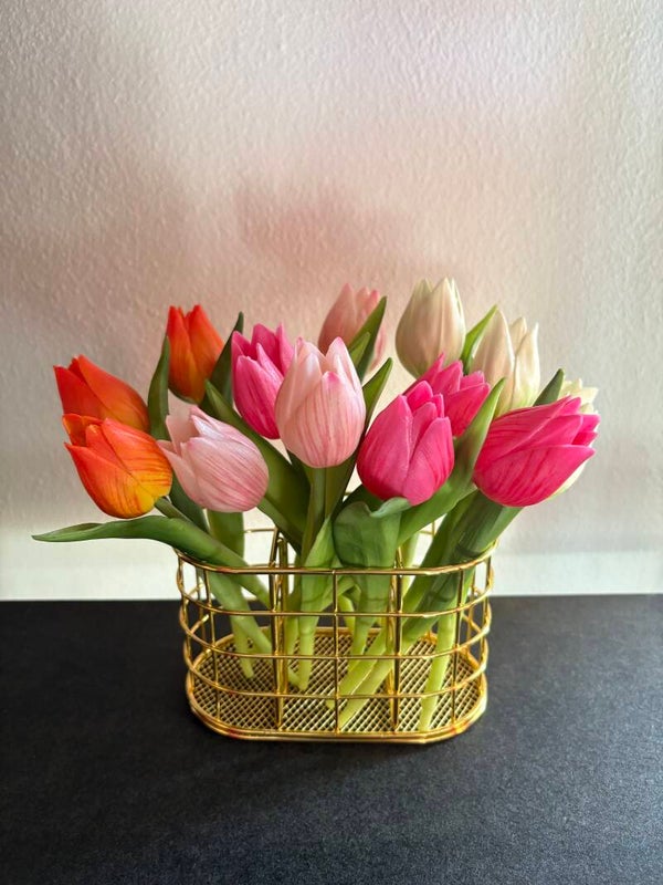 Tulp