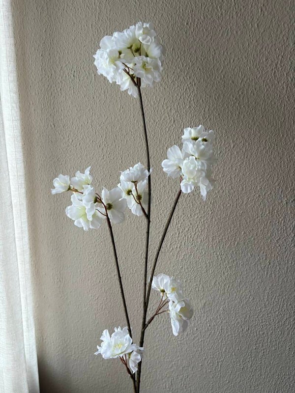 Bloesemtak wit